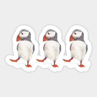 3 Dancing puffins watercolor illustration Sticker